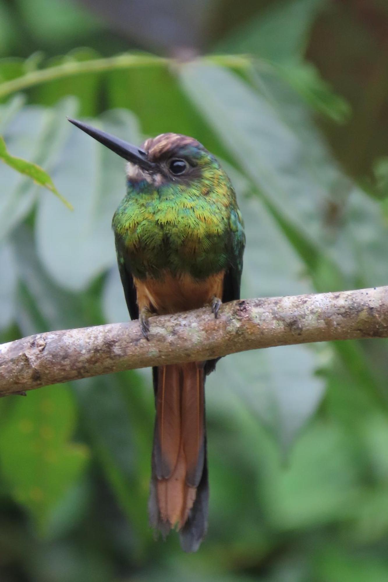 Hospedaje Y Tours Reina Arriera Amazonas Colombia Macedonia Ngoại thất bức ảnh