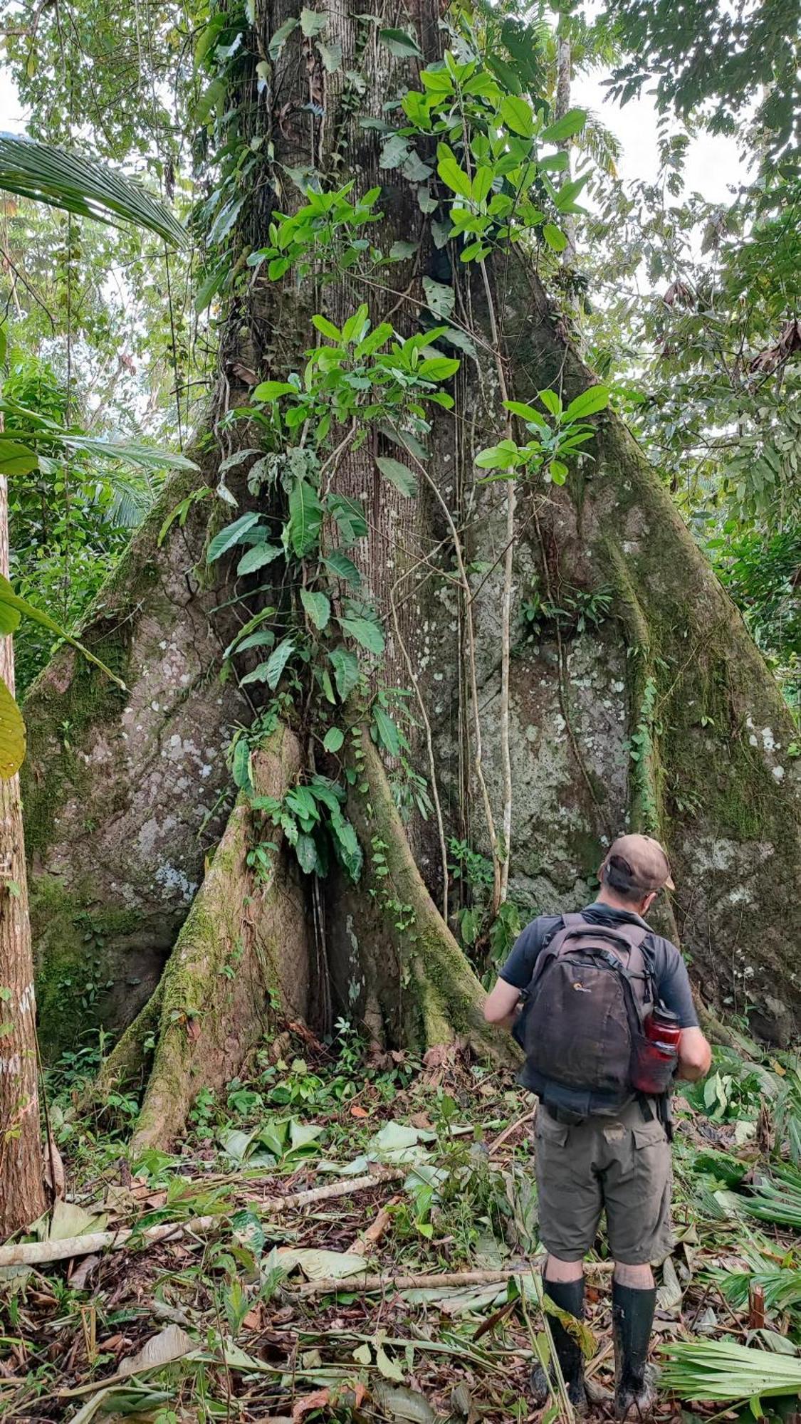 Hospedaje Y Tours Reina Arriera Amazonas Colombia Macedonia Ngoại thất bức ảnh