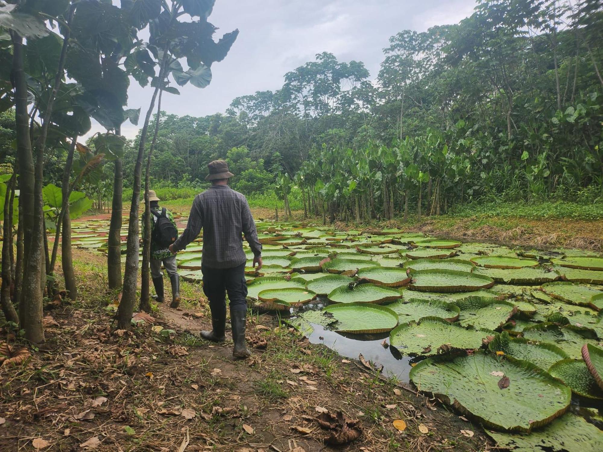 Hospedaje Y Tours Reina Arriera Amazonas Colombia Macedonia Ngoại thất bức ảnh