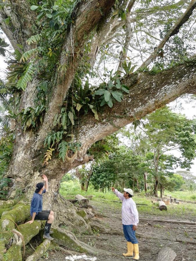 Hospedaje Y Tours Reina Arriera Amazonas Colombia Macedonia Ngoại thất bức ảnh